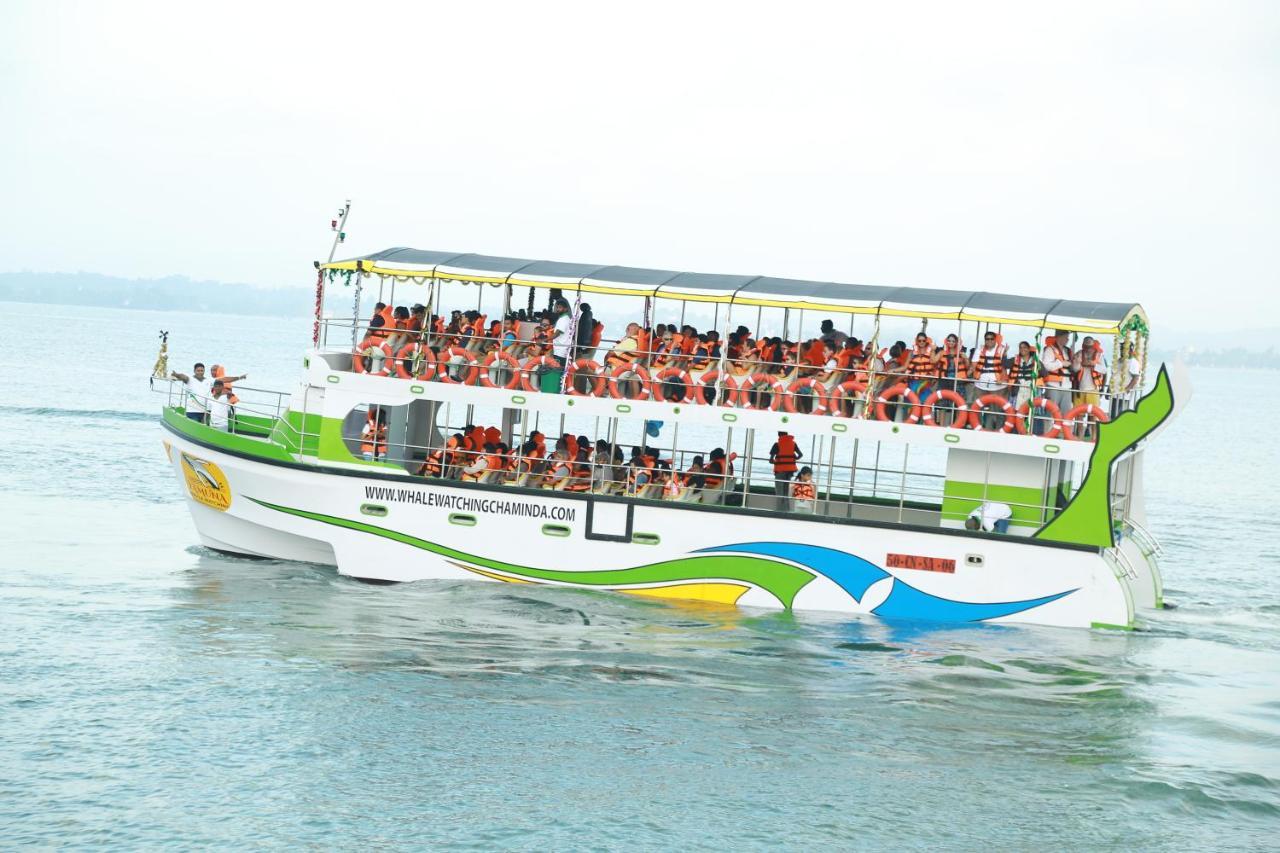 Sun Bird Eco Guest Mirissa 호텔 외부 사진